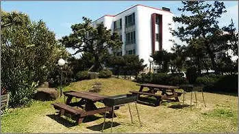 *** Affittacamere Coastway Pension Jeju Corea del Sud